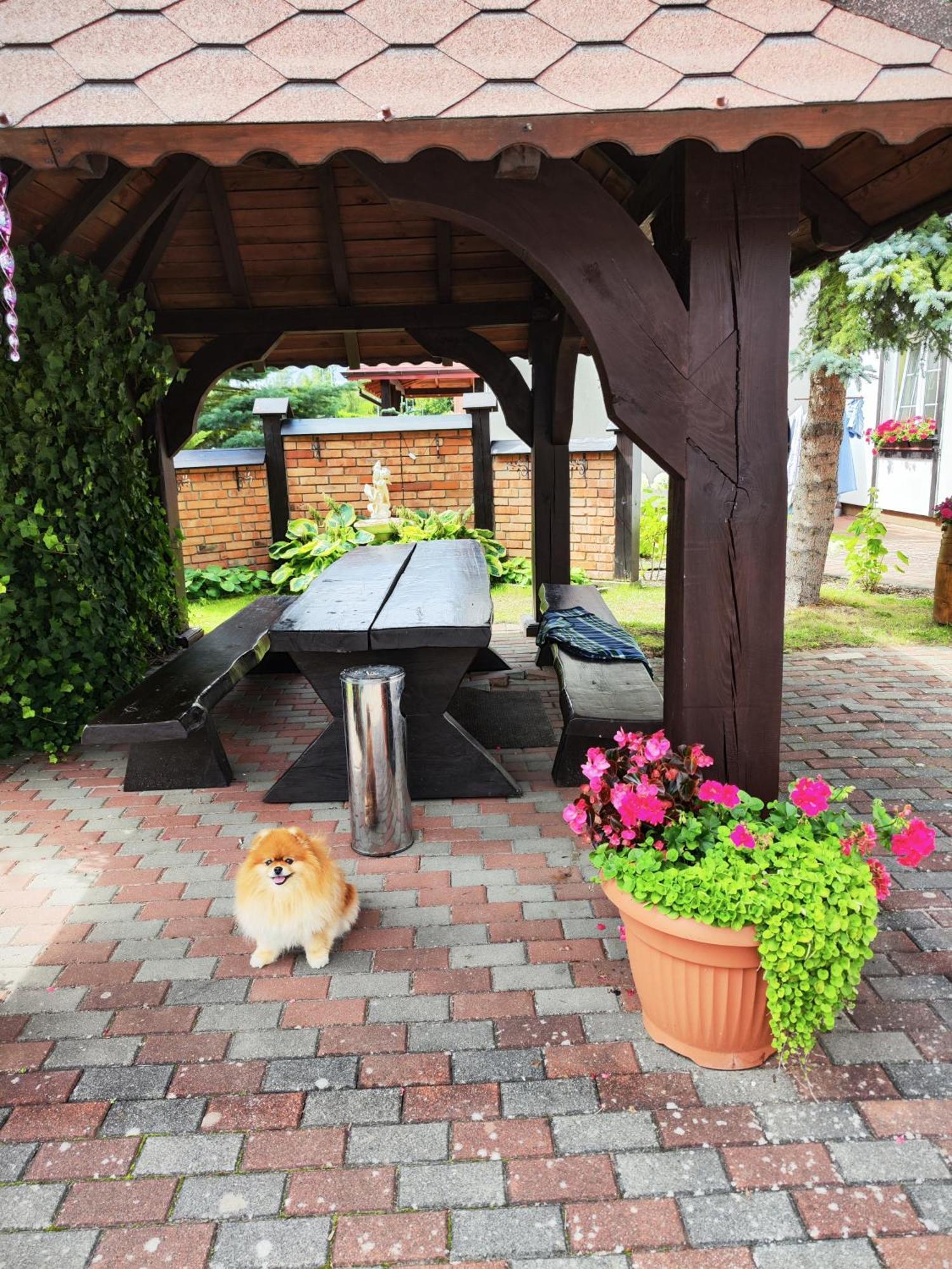Bed and Breakfast Michalek W Rowach Rowy  Exterior foto